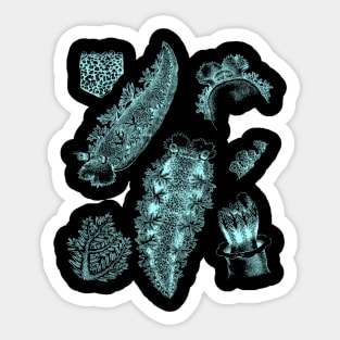 Nudibranch Sea Slug Sticker